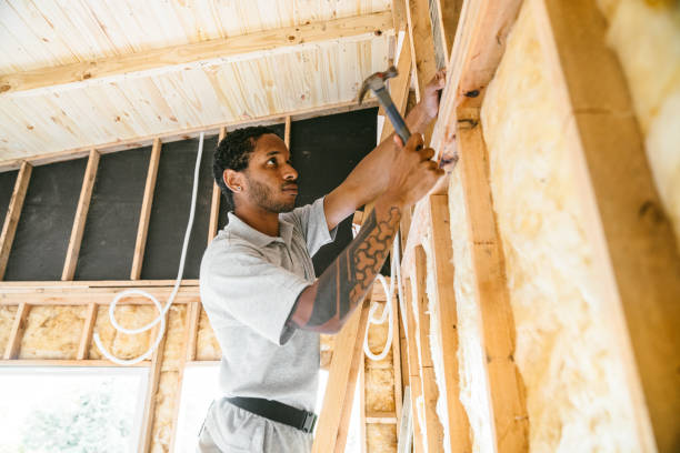 Best Spray Foam Insulation  in Mclendon Chisholm, TX