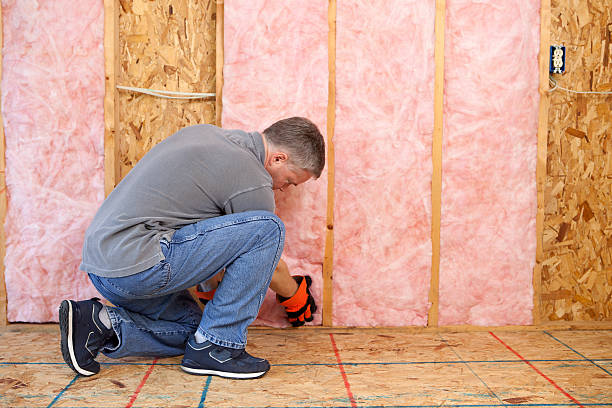 Garage Insulation Installation in Mclendon Chisholm, TX